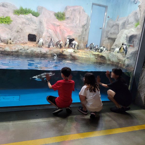 d34049807409265cf1ead3e8887789fe_1689215627_0538.jpg