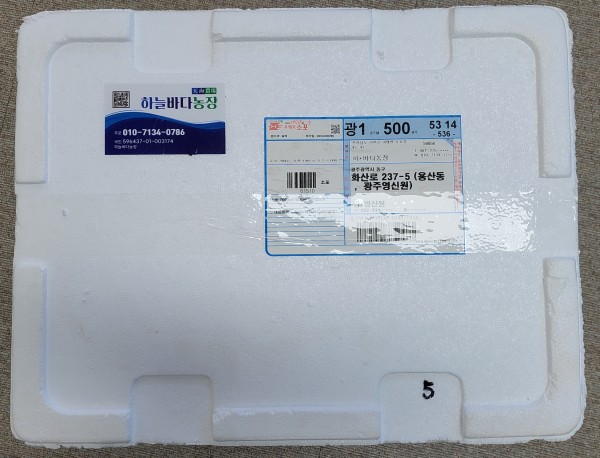 efb88eba28460cc42b7d2458c76f3c96_1723010827_6385.jpg