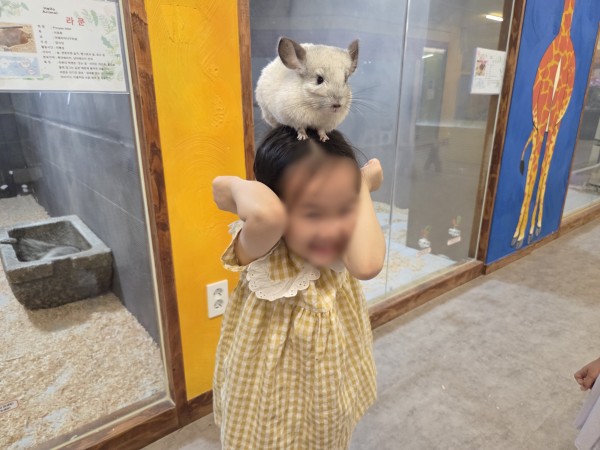 1a1b2c0990bdf7eda87efc7a913f5a5a_1751108250_8726.jpg